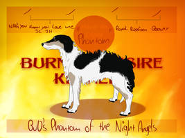 BuD's Phantom of the Night Angels