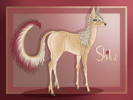 Shika - Oakfern Fawnling