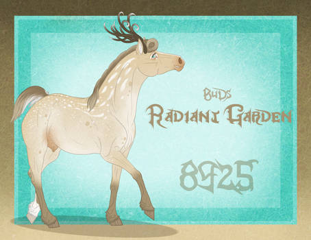 8925 BuD's Radiant Garden