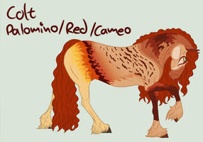 STABLES: Peafrie foal|NoriXPeri| foal design