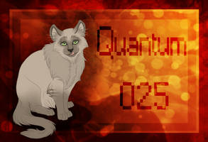 025 Quantum