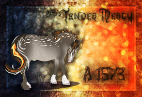 OLD ART UPLOAD | A1573 BuD's Tender Mercy