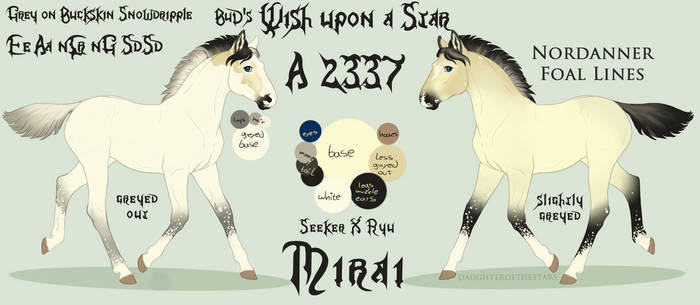 A 2337 BuD's Wish upon a Star - foal design