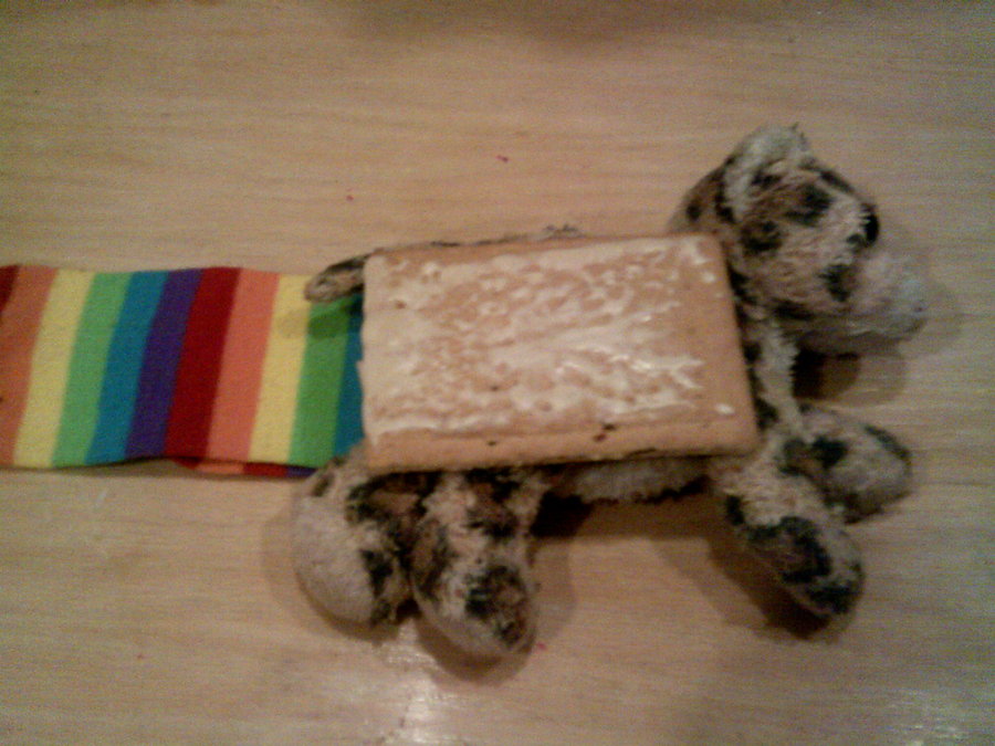 I made a NyanCat. Now Love Me.