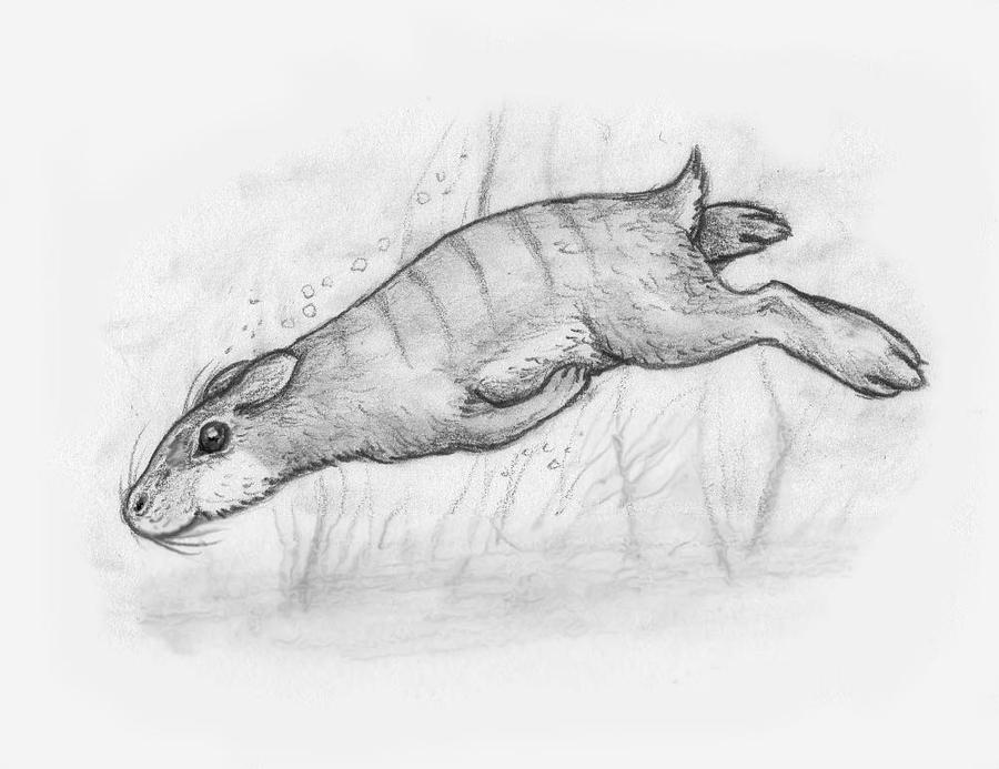 Marsh rabbit - Neocene Project by electreel on DeviantArt