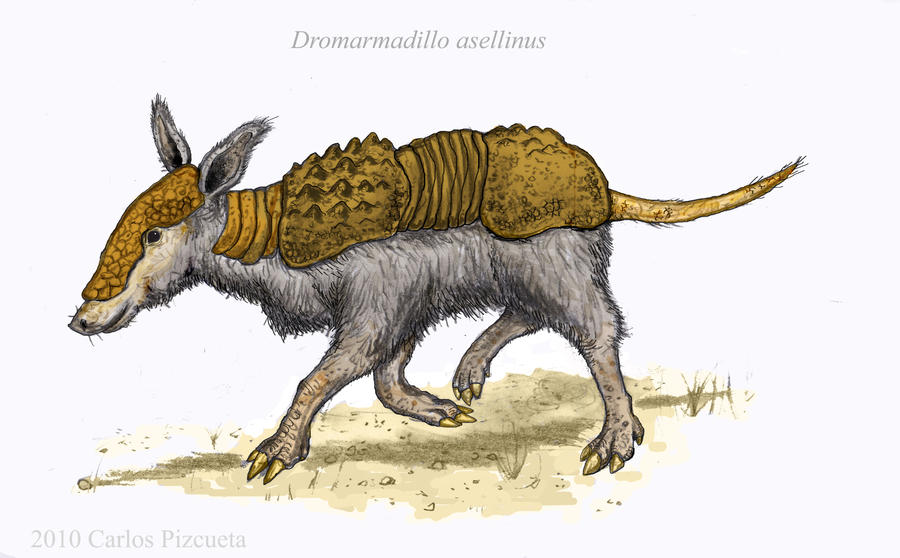 Neocense Tatu burro - Neocene Project by electreel on DeviantArt