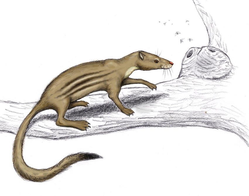 Bee mungo - Neocene Project by electreel on DeviantArt