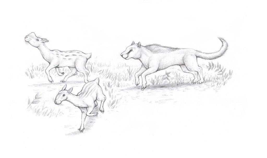 Predation Drawinf Predator and prey by electreel on DeviantArt