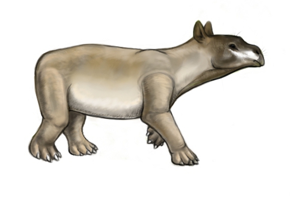 Fluviohyrax