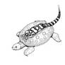 Stingray turtle