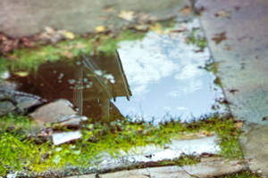 A Puddle's Secret III