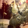 Christmas Kitties IX