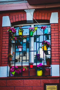 Balat -