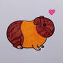 Guinea pig