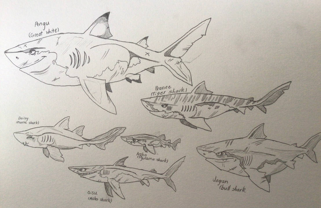 The Datu siblings as sharks by sharkboi1330 on DeviantArt