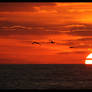 Sunrise in Nags Head, NC