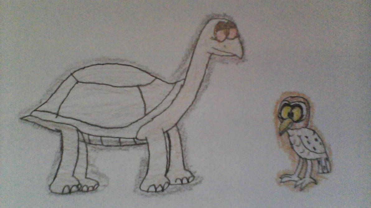 Owl Riding Tortoise Pinta Island Tortoise and Lauging Owl(TGaMM Style) by Christi7186463 on ...