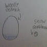 Woolly the Ostrich and Snow Quailmole's Eggs