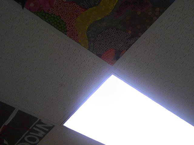 a mouse in the school ceiling eating Skittles