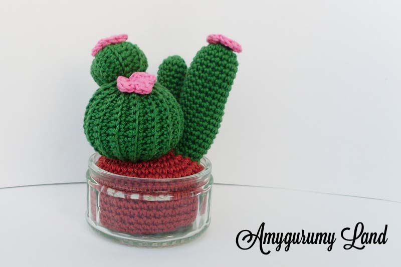 Cactus - Tiny Garden