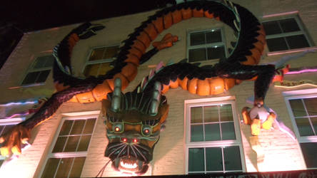 Camden Dragon