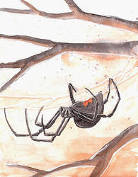 Drawlloween 30: Spider