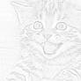 Drawn kitten