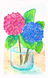 Hydrangea card