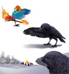 Rainbow Crow Illustrations