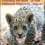 Infamous Hogwarts Jaguar