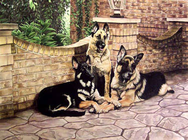 German Shepherd Family