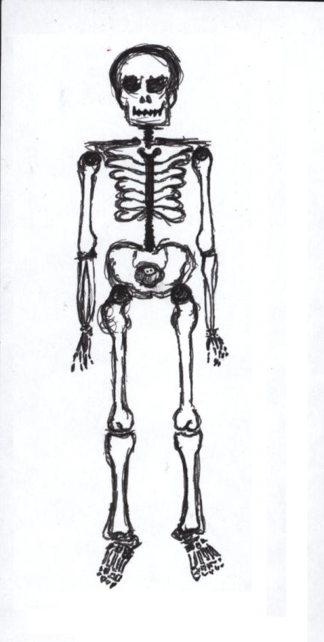 skeleton-