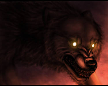 The Wolf's Rage