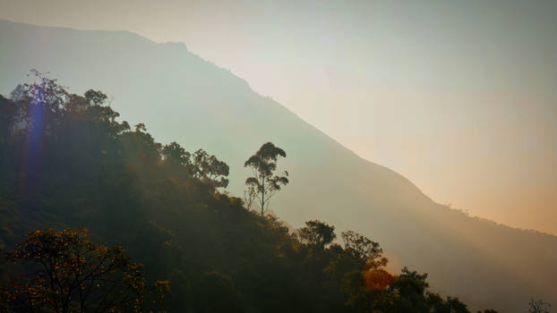 Munnar,Kerala