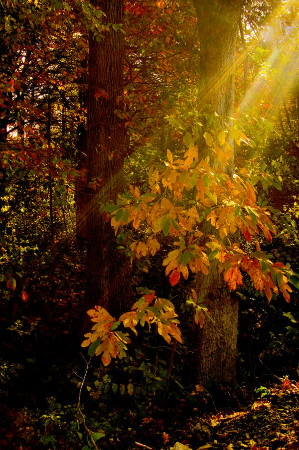 Shining through hdr