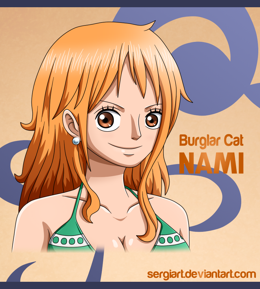 One Piece - Burglar Cat Nami