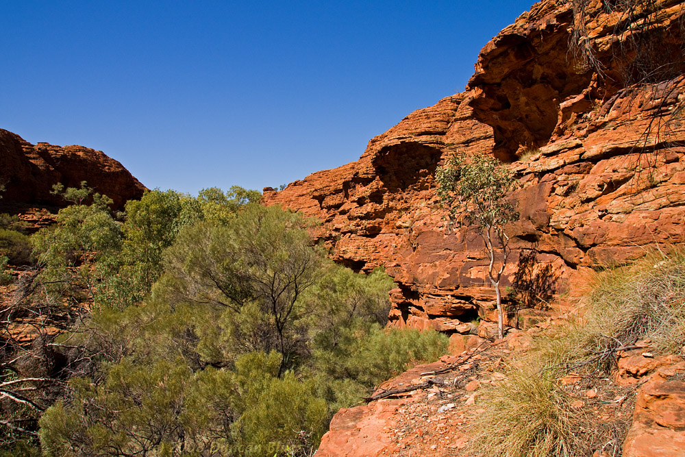 Kings Canyon Greens