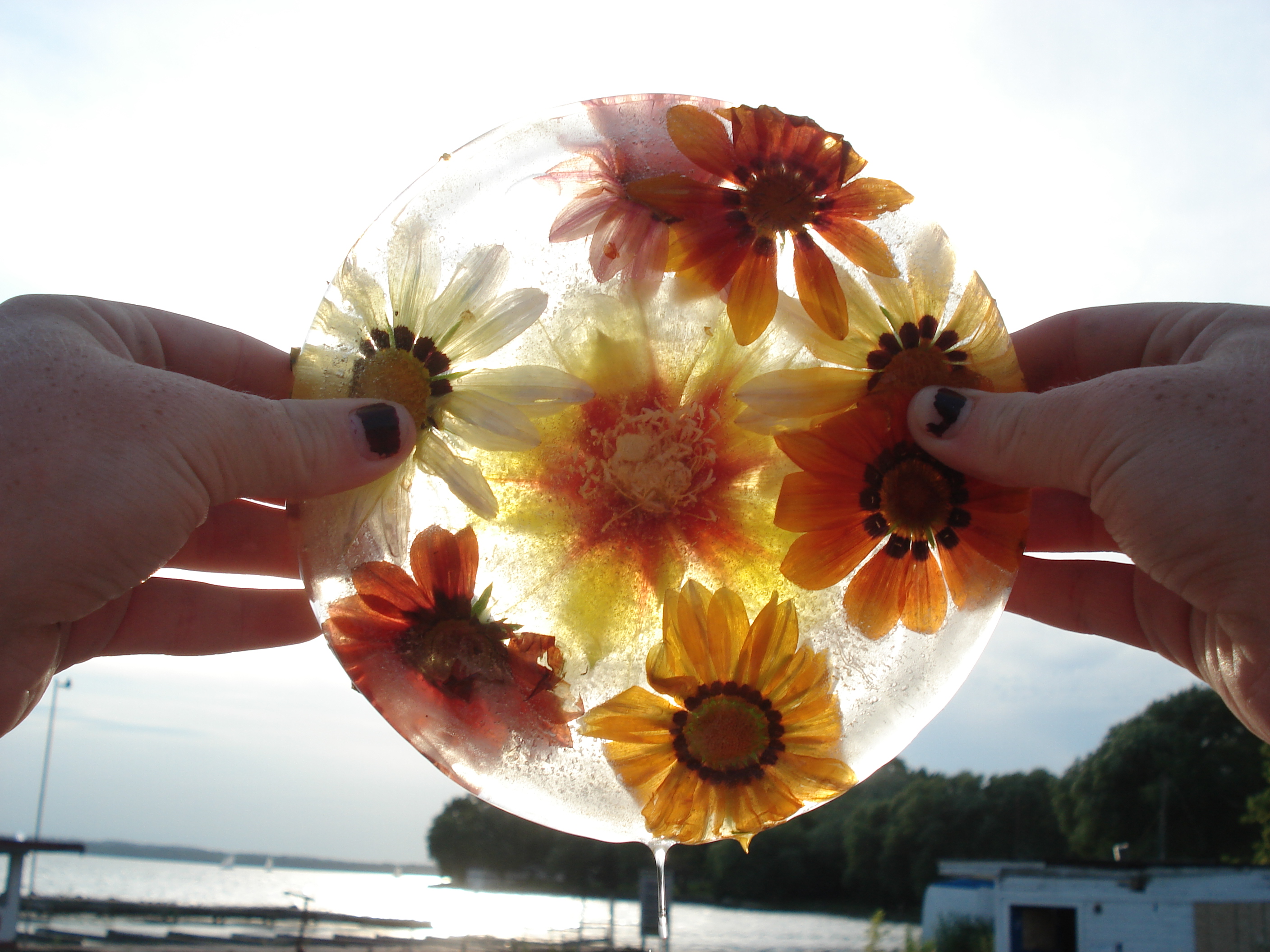 Ice Flower Sunset Ashley hands