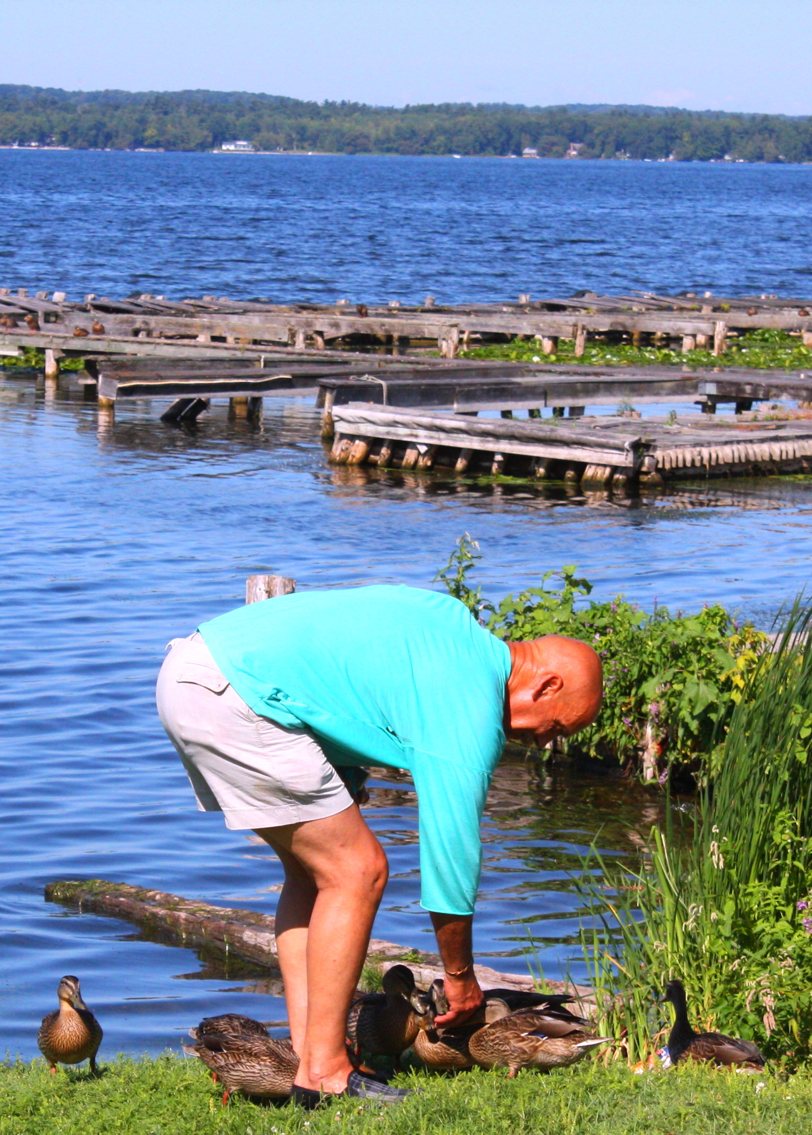 Petting the Ducks at the Lake