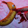 Bitten by a Banana