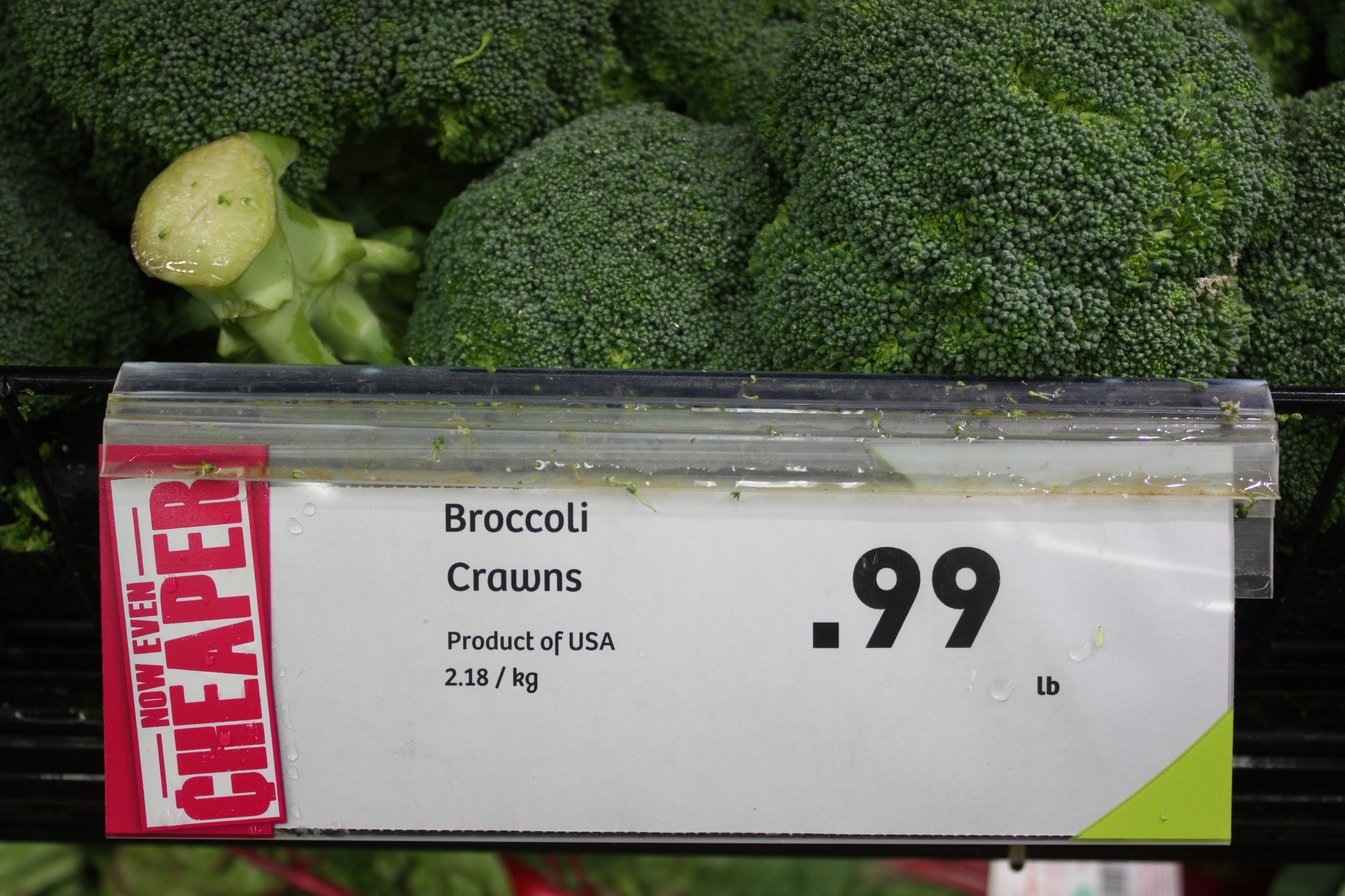 The King of All Broccoli is not amused