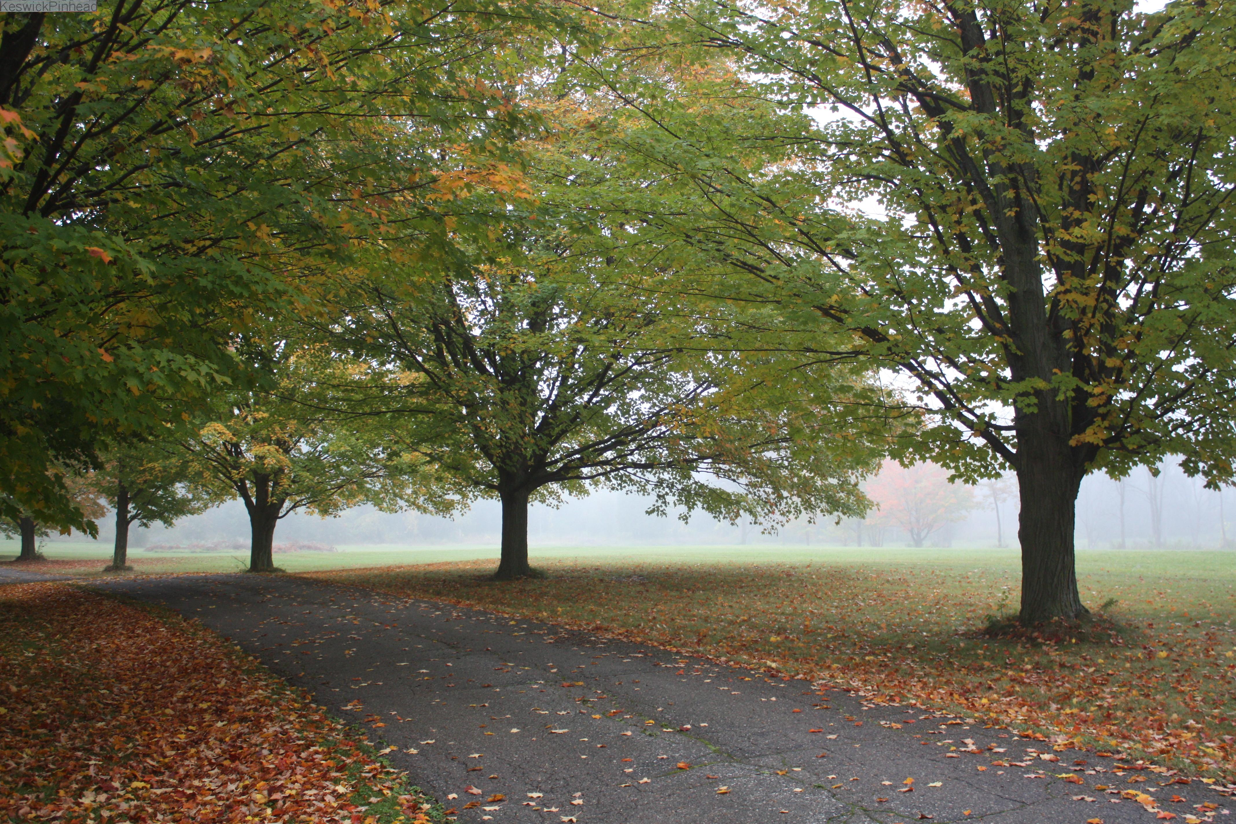 Foggy Fall Destination