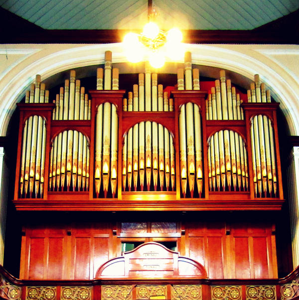 Organ