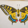 Swallowtail