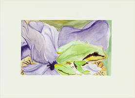Watercolor - Frog