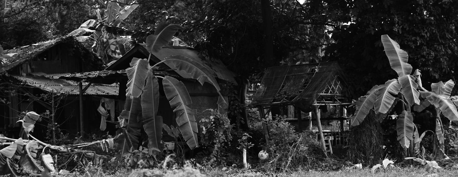 shacks among banana trees