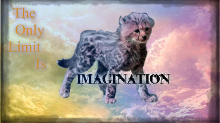 Imagination'sTheOnlyLimit