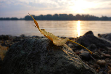 Sunrise in Early Autumn