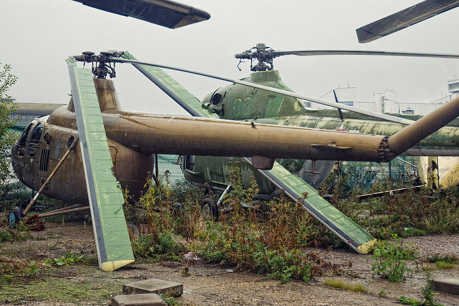 Helicopter-rabbit by LienMoule on DeviantArt