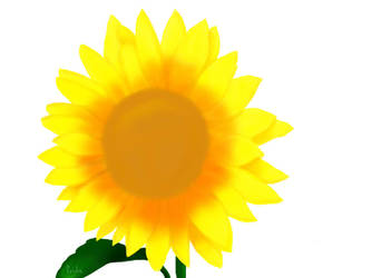 Girasol